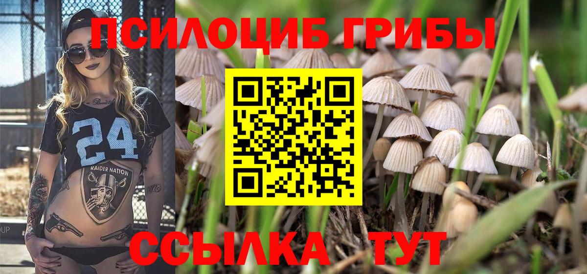 что такое наркотик  Вход с VPN  Псилоцибиновые грибы MAGIC MUSHROOMS  Россия  Галлюциногенные грибы Psilocybine cubensis 